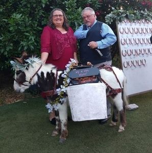 Meet your Posher, Dawn